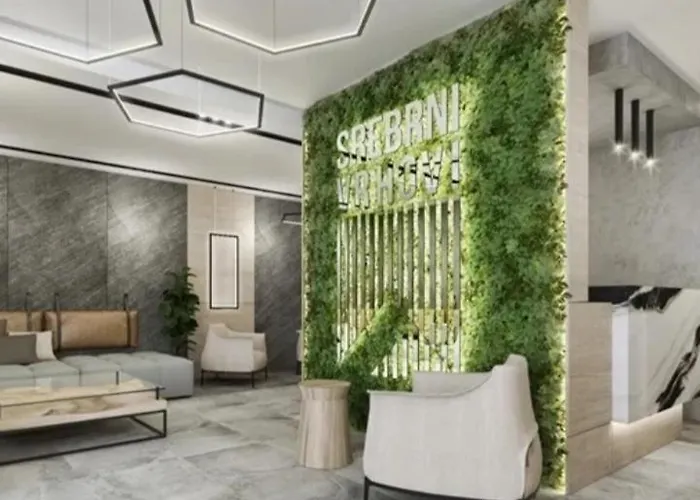 Lux Srebrni Vrhovi Lejlighed Zlatibor